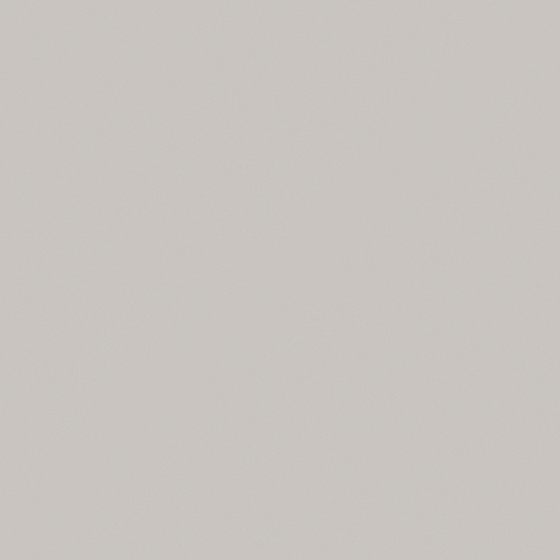 Emerald City 11-1803 Latex Paint in White