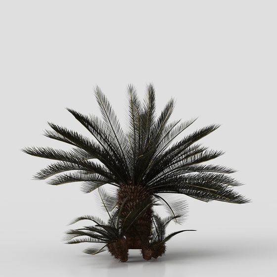 Low-Poly Palm Tree 3D model