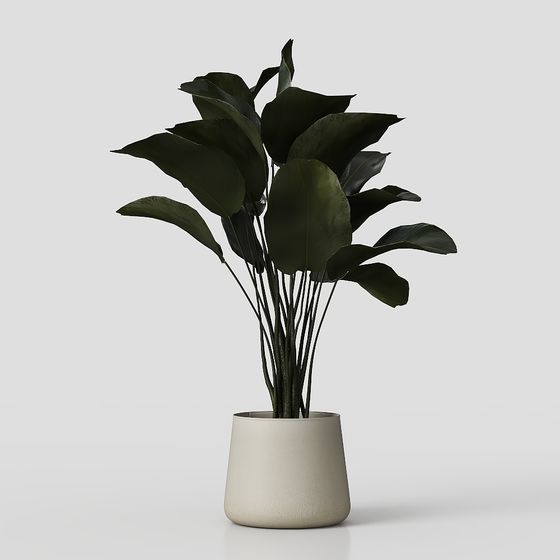 Realistic Indoor Plant 3D Model