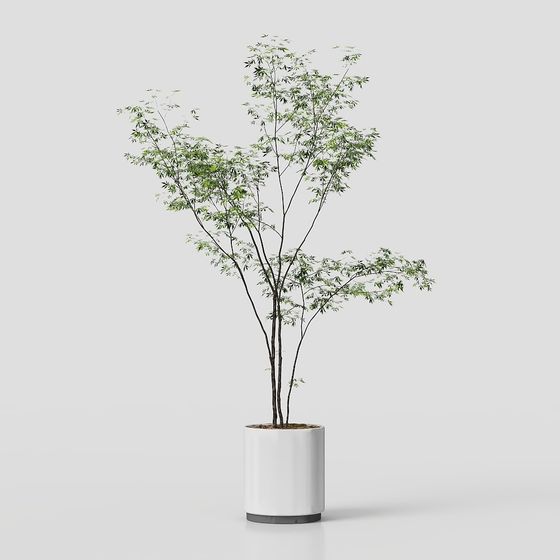 南部竹のグリーンプラント