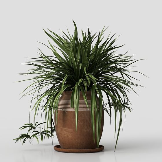 Realistic Low-Polygon Indoor Plant 3D model