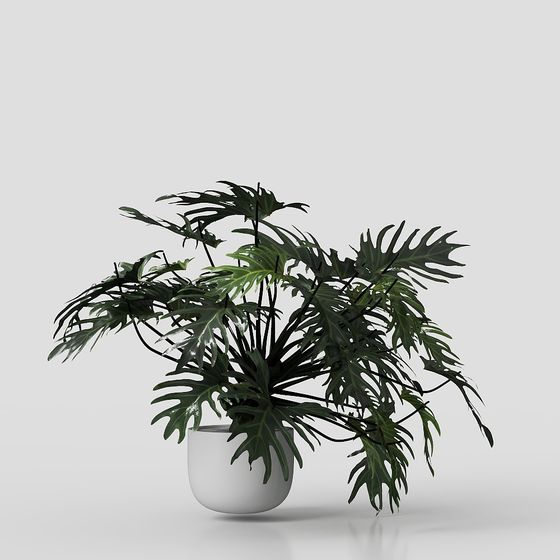 フランスのレトロ家庭リビングルーム植木鉢の装飾