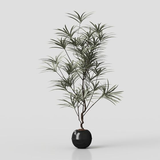 Tropical Potted Plant 3D model