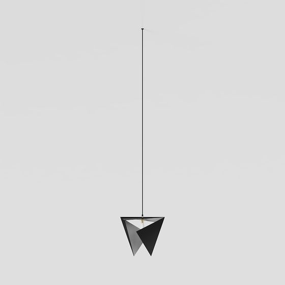 Geometric Pendant Light 3D model