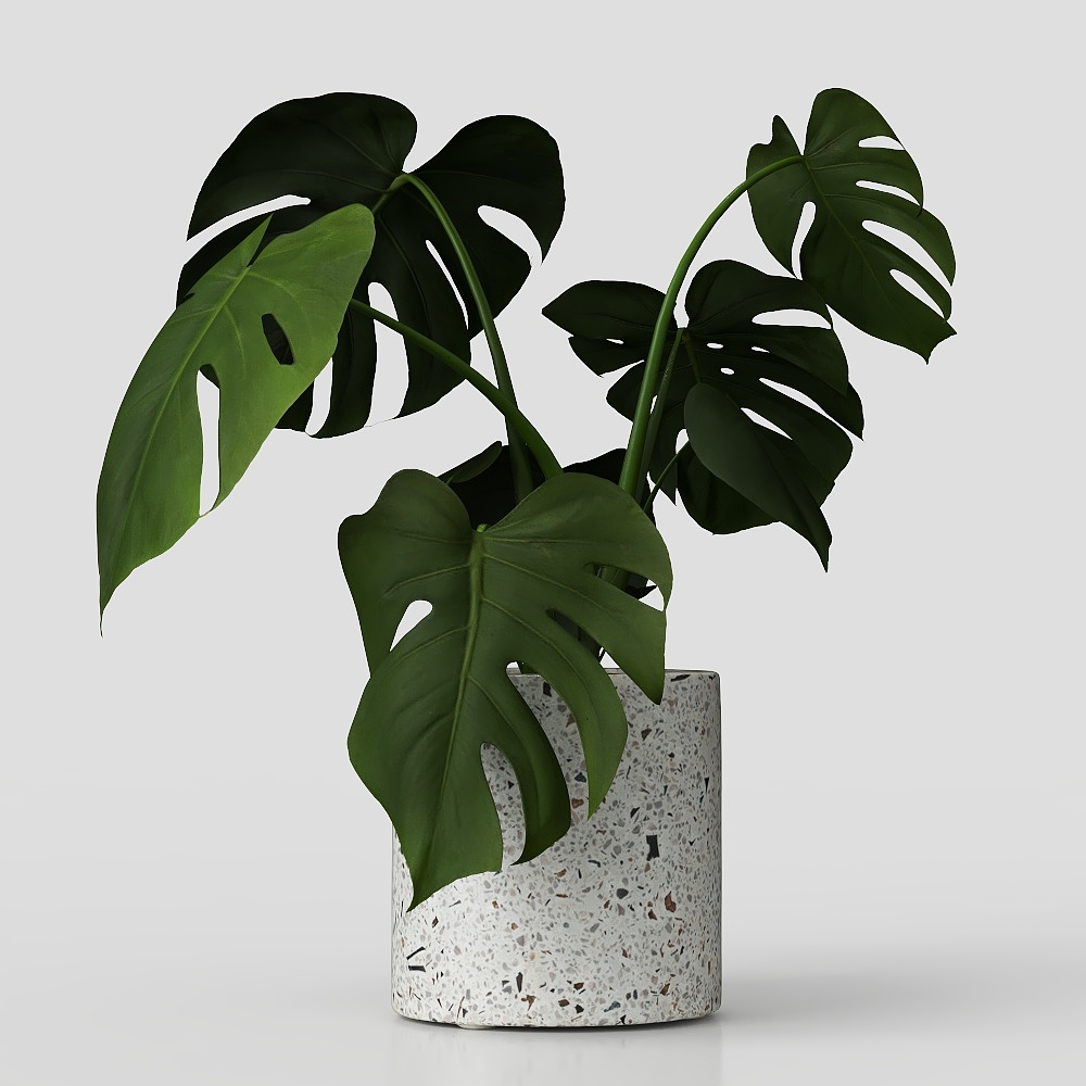 カメの背の竹製緑の植木鉢