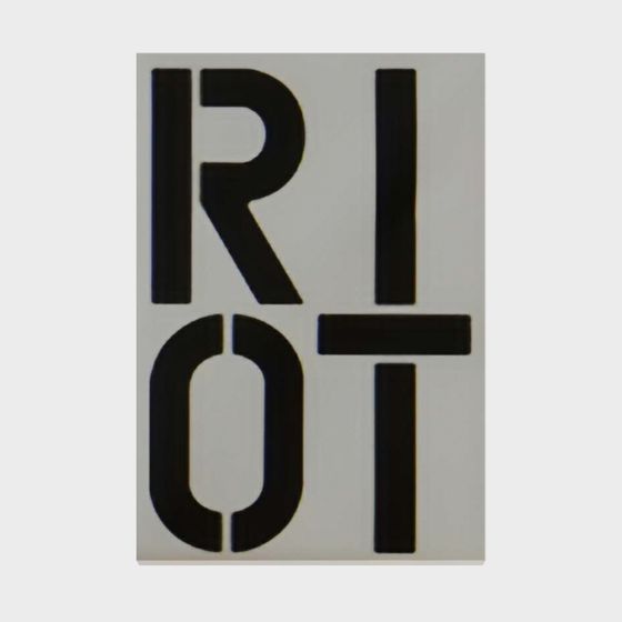 Riot 3D Model - Low Poly High Detail Design