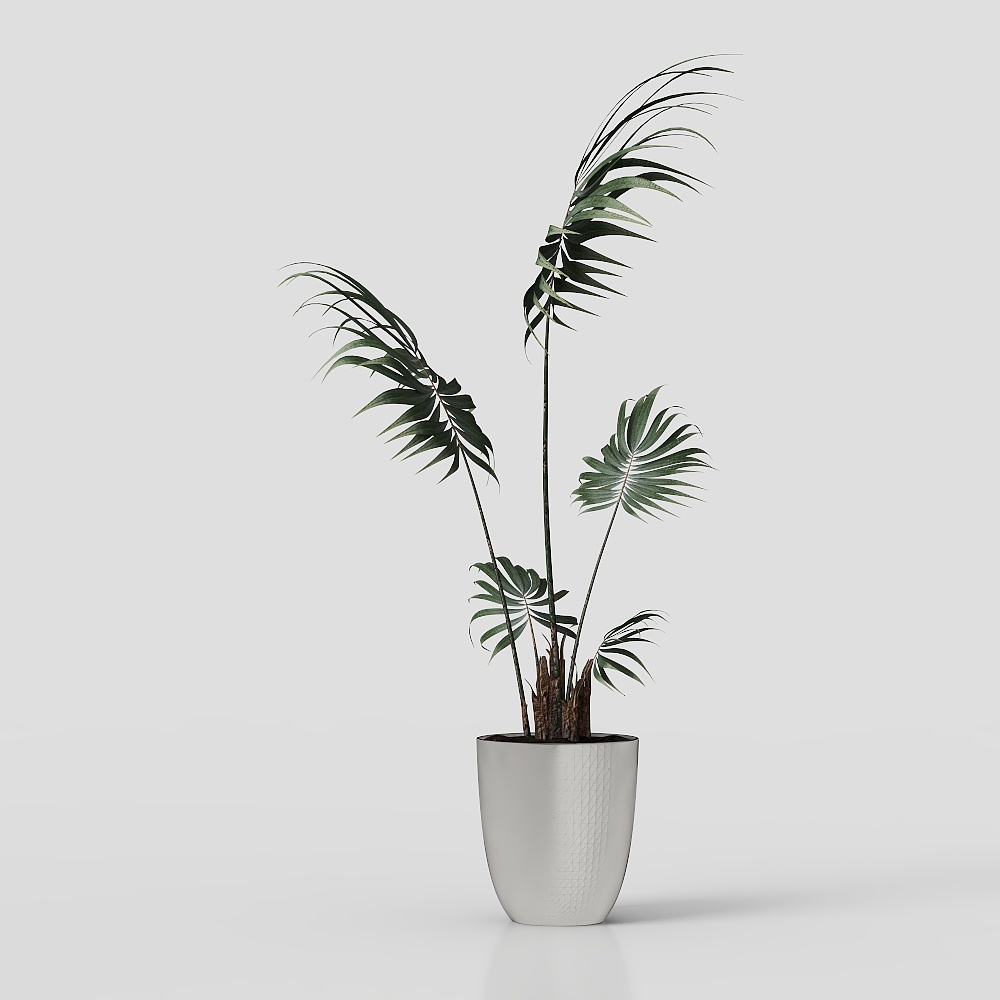 Décoration de plante verte en pot pour salon moderne