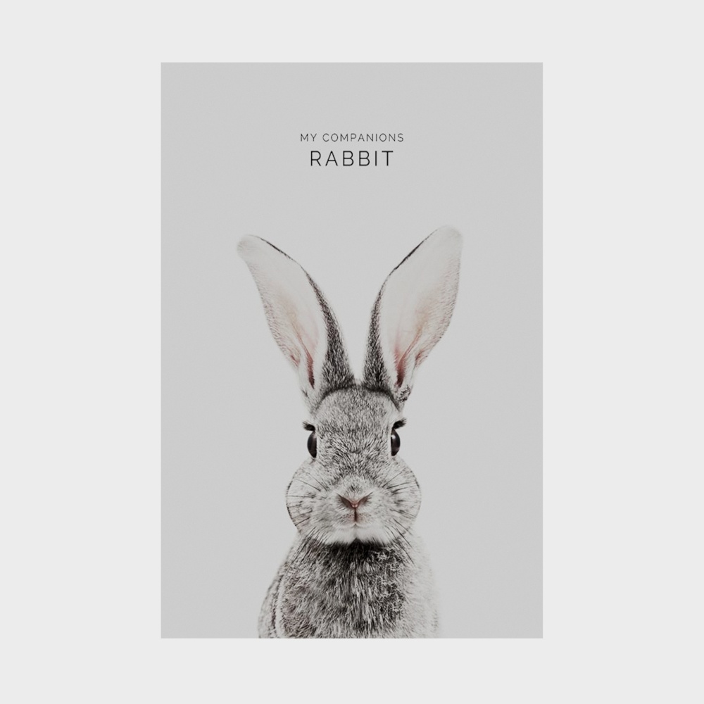 Realistic Rabbit 3D model for Creative Projects
