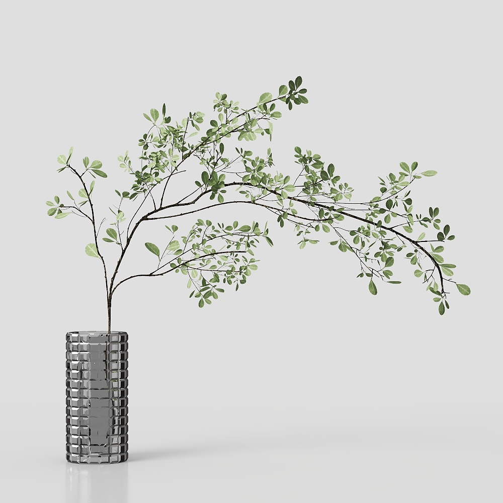 Modern ancient living room vase with green plants