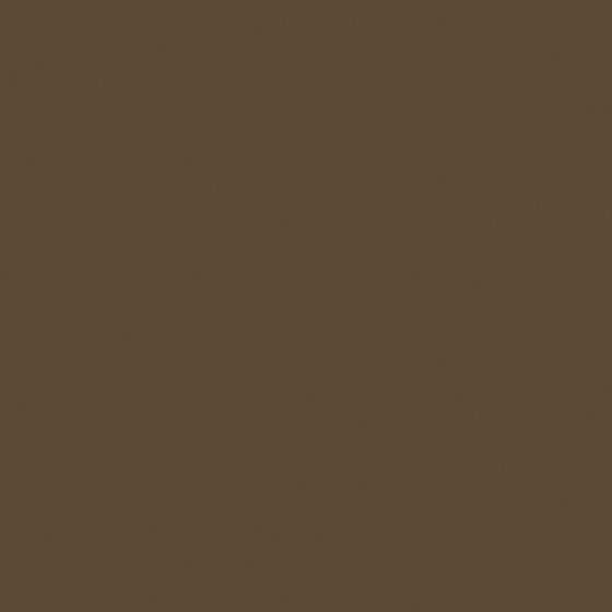 Brown Wood Finish Wall Paint 3D Model in Beige