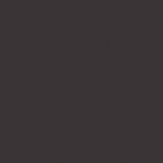 Black Wood Veneer 3D Model