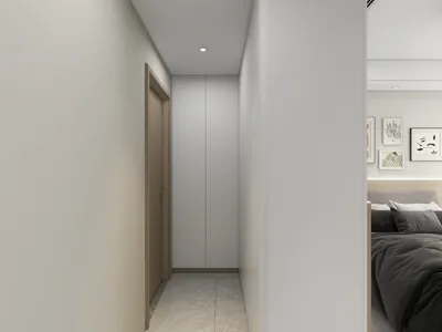 Elegant Modern Entryway Design