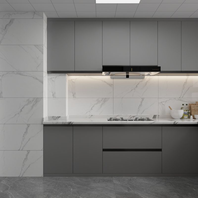 Modern Gray Kitchen Design Ideas