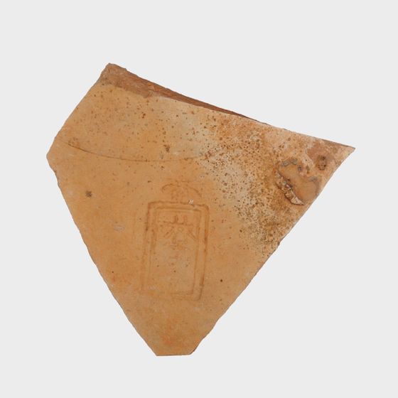 Unique Ancient Pottery Shard 3D model