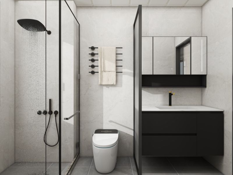Modern Black-White Bathroom Design