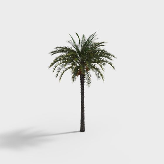Tropical Palm Tree 3D model for Creative Projects