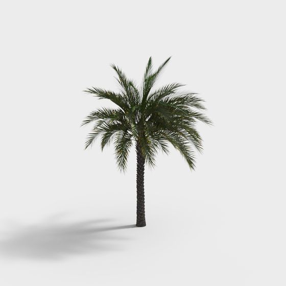 Tropical 3D Palm Tree Model for Artistic Projects