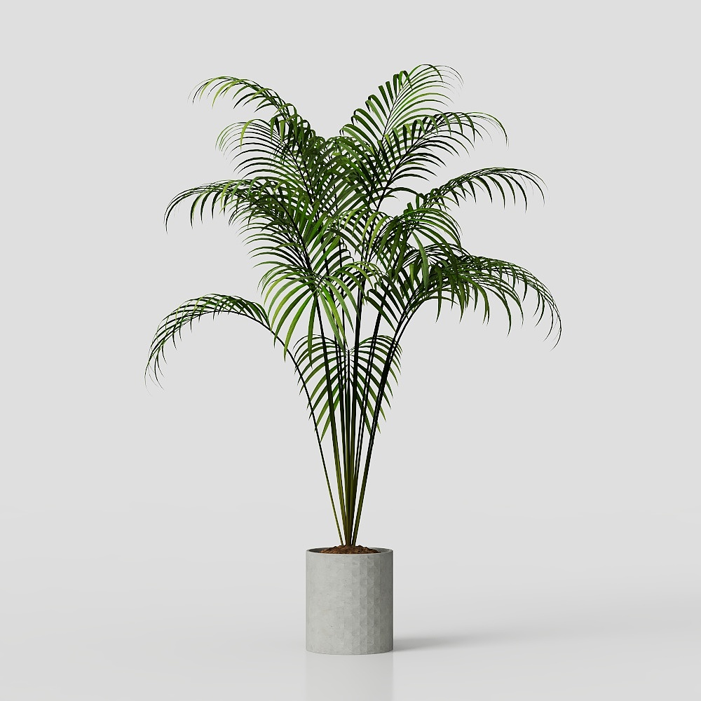 ต้นไม้ในกระถาง