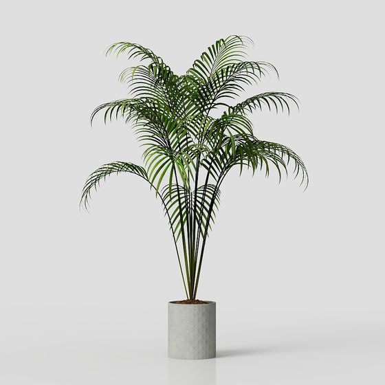 ต้นไม้ในกระถาง