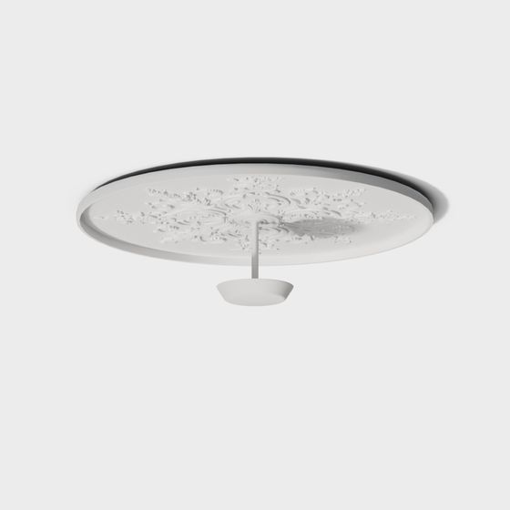 Elegant Ceiling Decoration 3D model