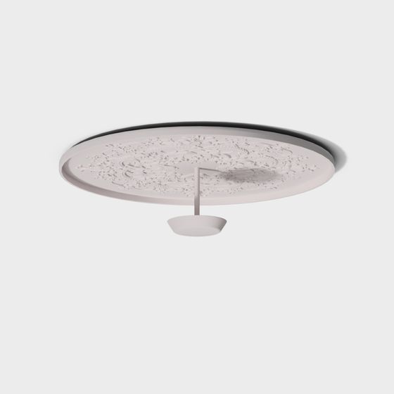 Elegant Ceiling Decoration Light 3D model