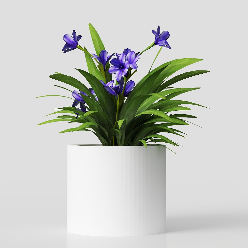 작은 화분 식물