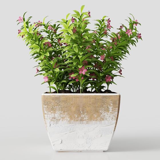 Spring Floral Bed 3D model