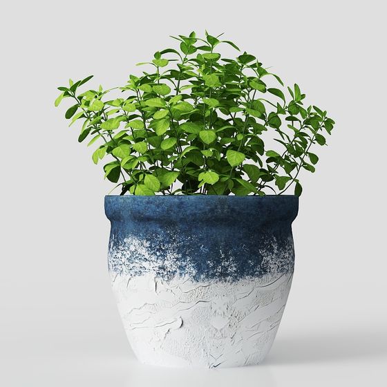 Urban Oasis 3D model for Contemporary Spaces