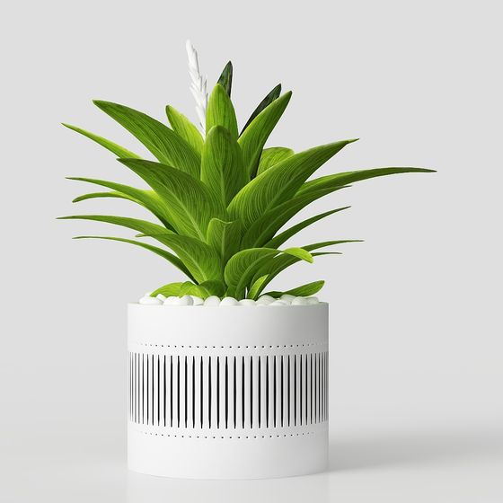 Lush Potted Plant 3D model