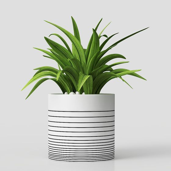 Urban Greenery 3D model