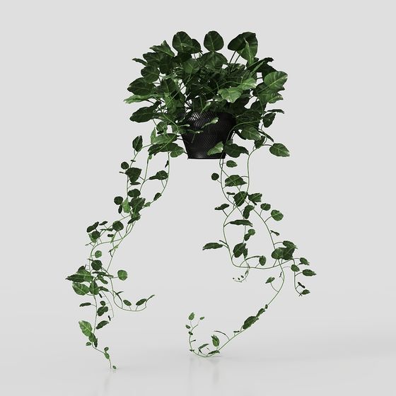 Hanging Plants 3D model for Designers and Developers