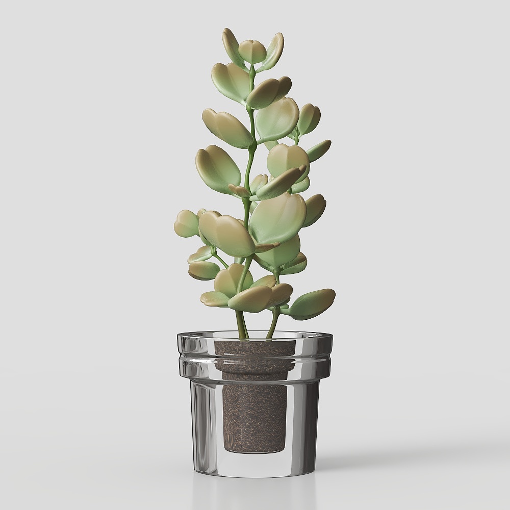 Succulent pot