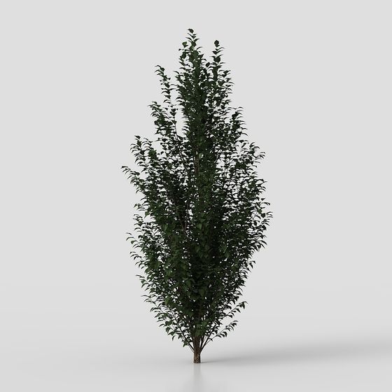 Forest Spirit 3D model - Lifelike Low-Polygon Tree