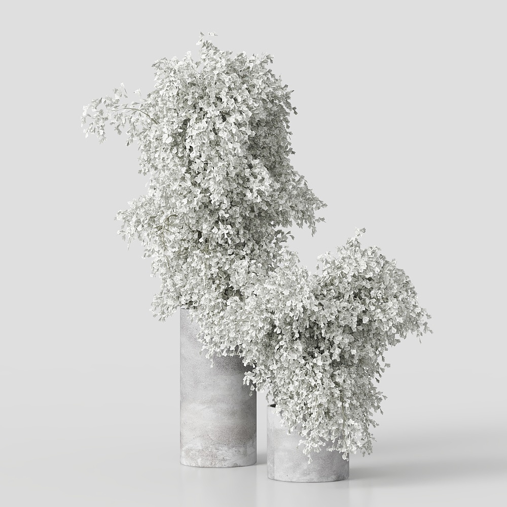 ANJ- Green plant - dried flower combination