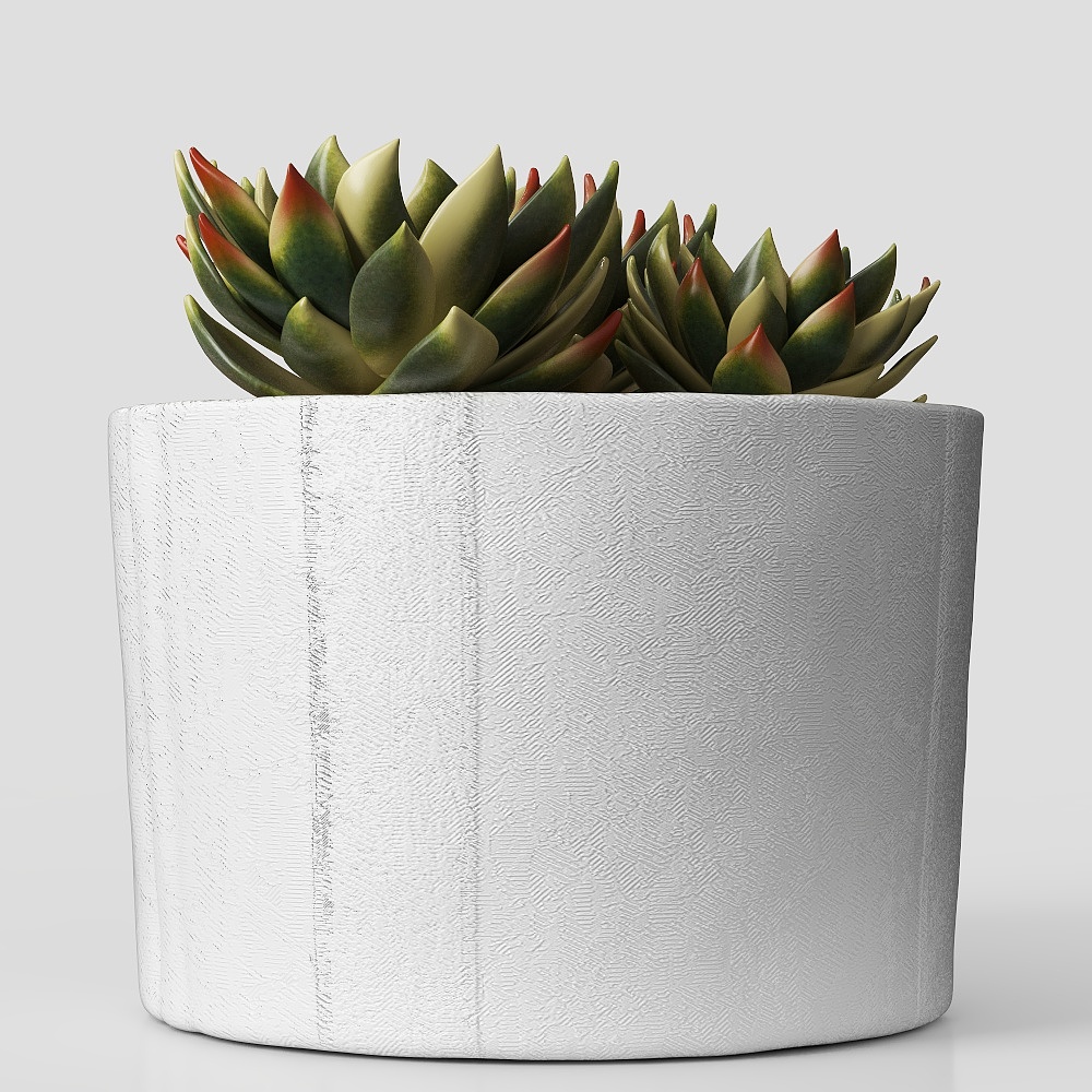 多肉植物ポット