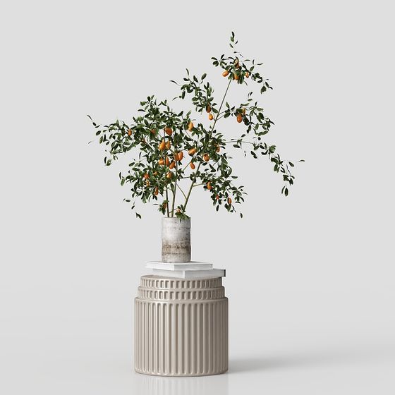 Lifelike 3D Orange Tree Model for Modern Designs