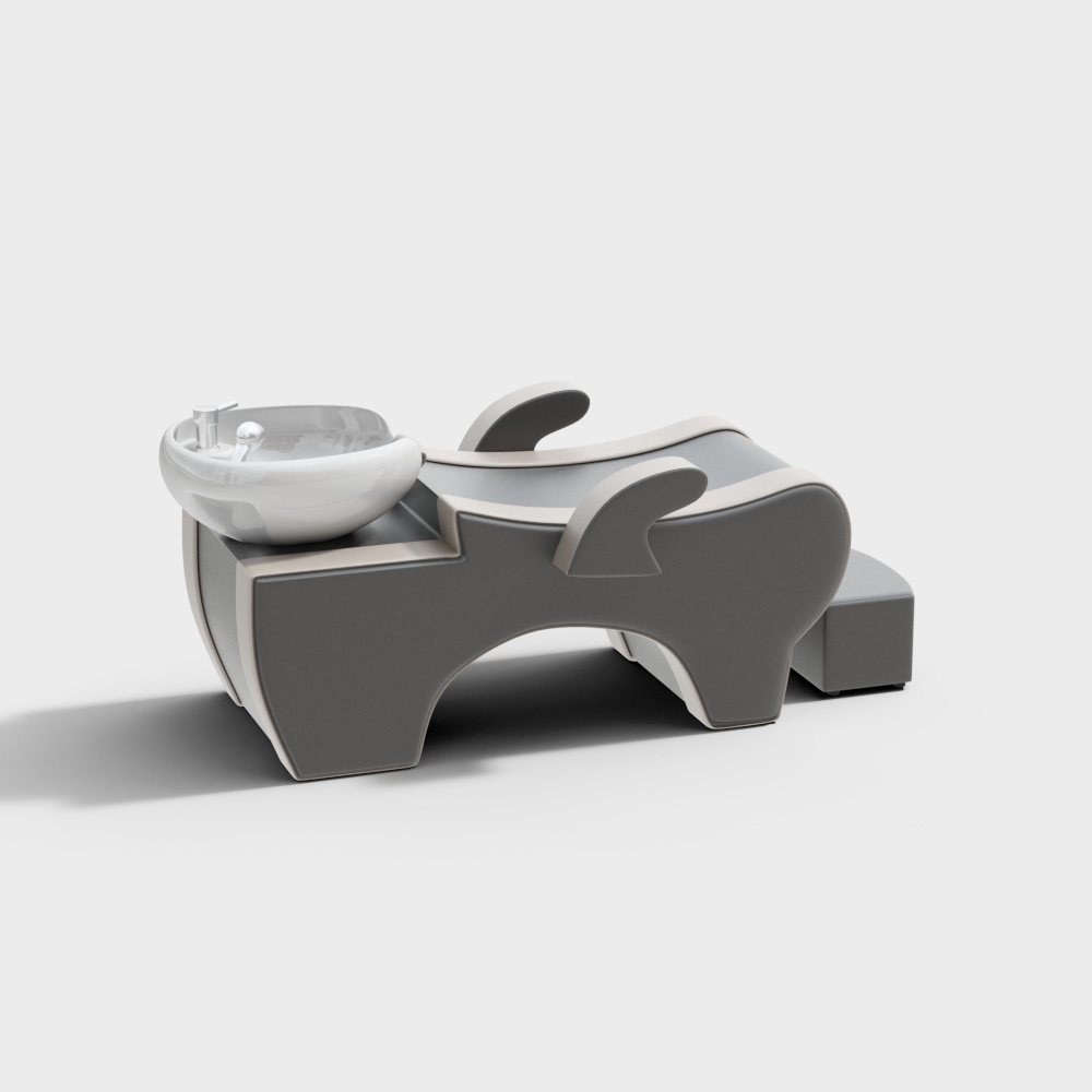 Chaise de shampooing