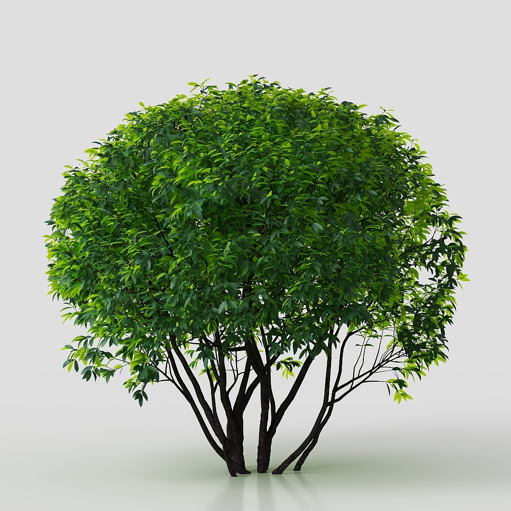 Forest Guardian 3D Model - Lush Green Tree