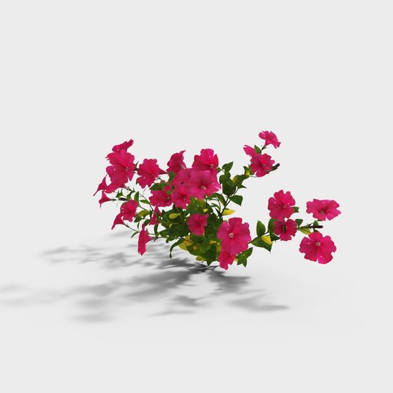 Floral Harmony 3D model