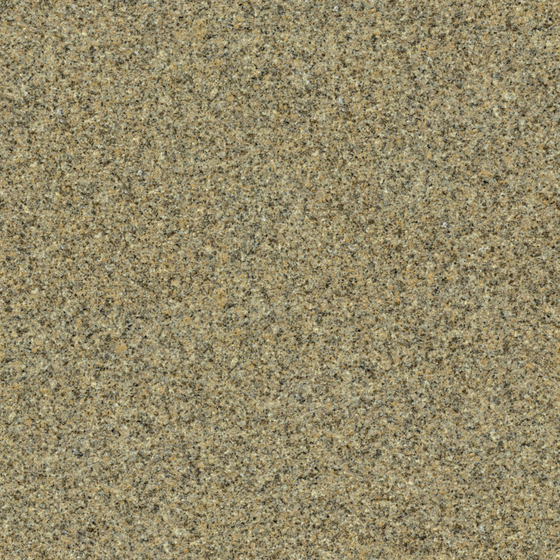 SYC015 - Flowing Gold Paulownia