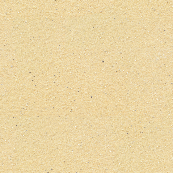 FS015 - Highland Yellow