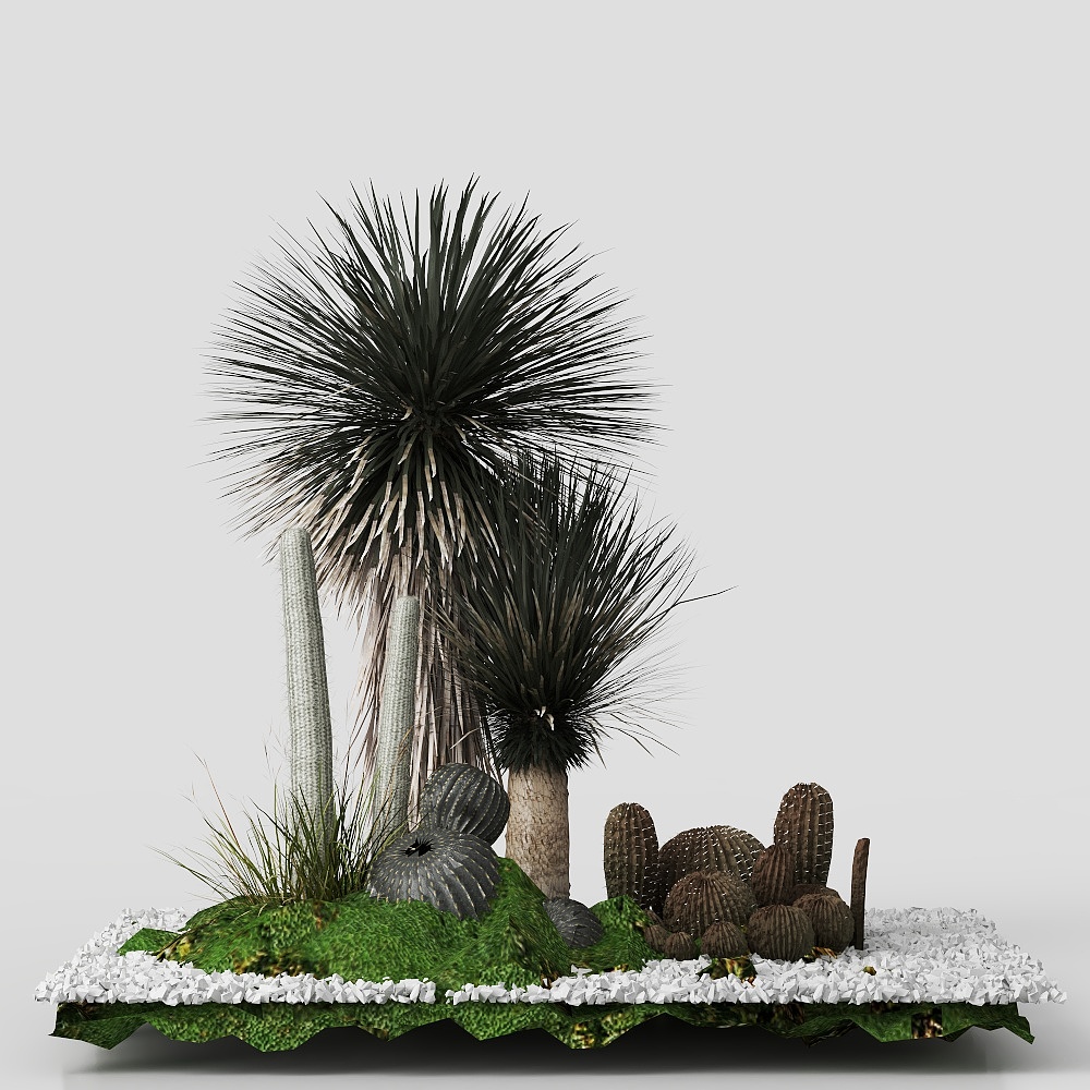 Modern living room plant