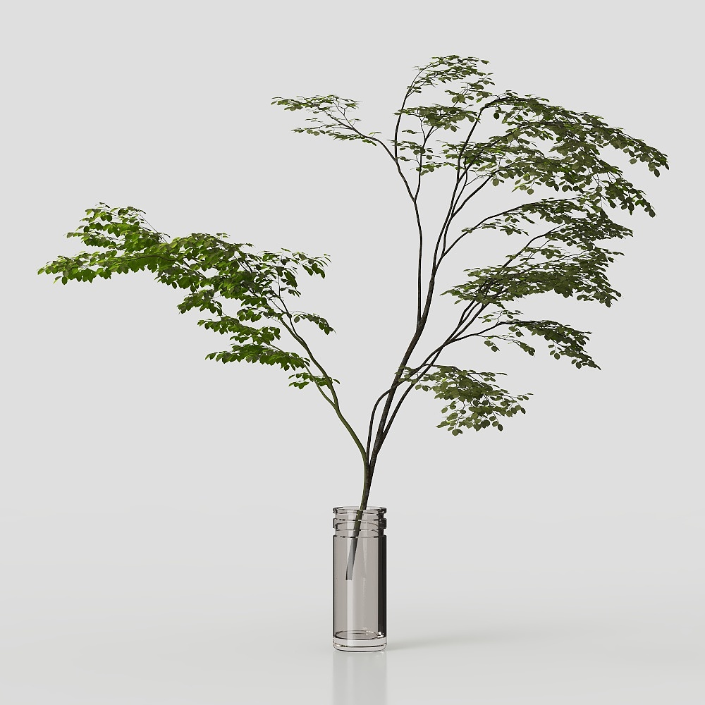 Simple living room vase green plant