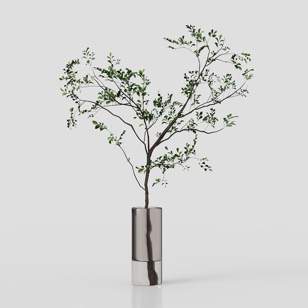 Simple living room vase green plant