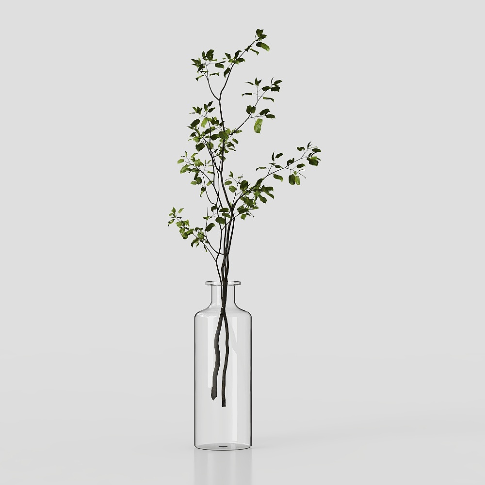 Simple living room vase green plant