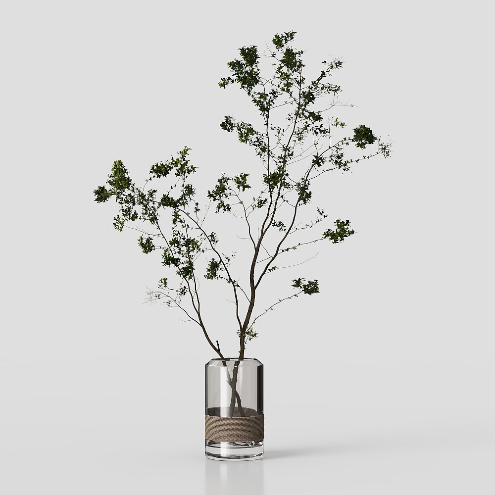 Simple living room vase green plant