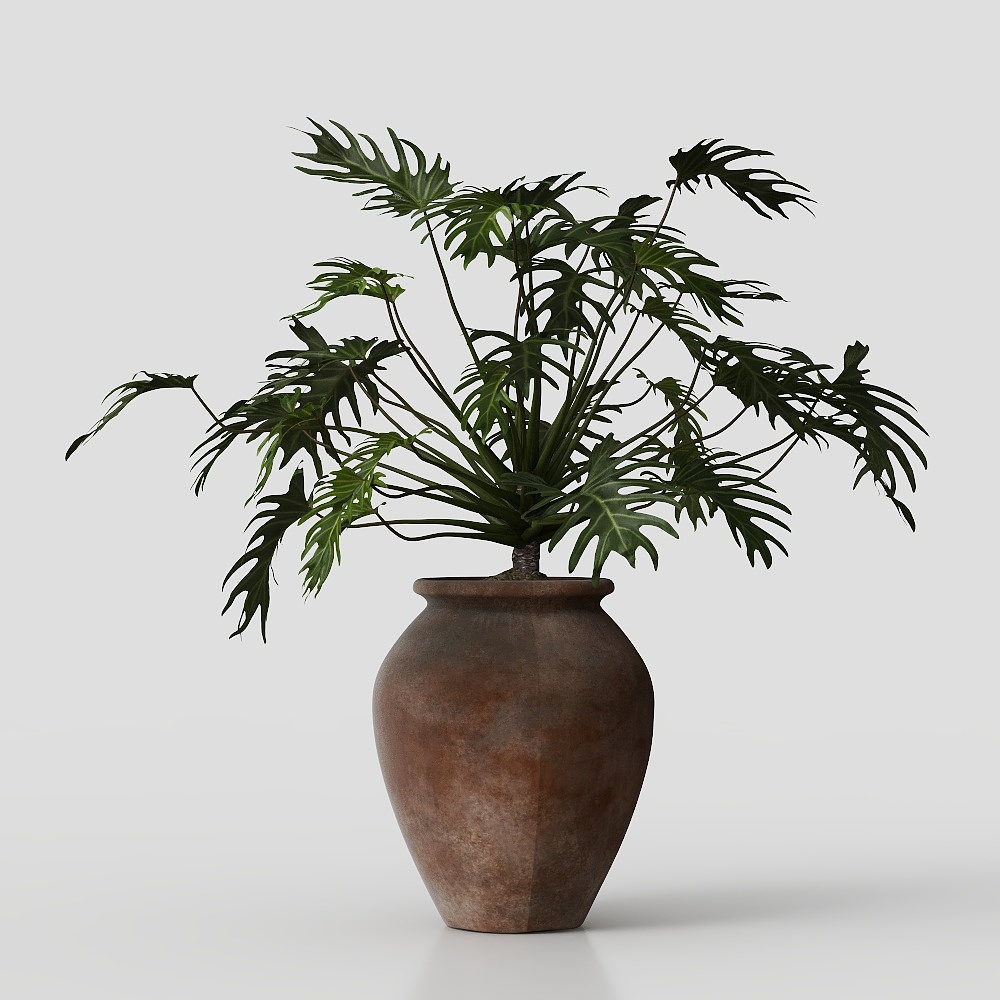 Potted plants in the living room