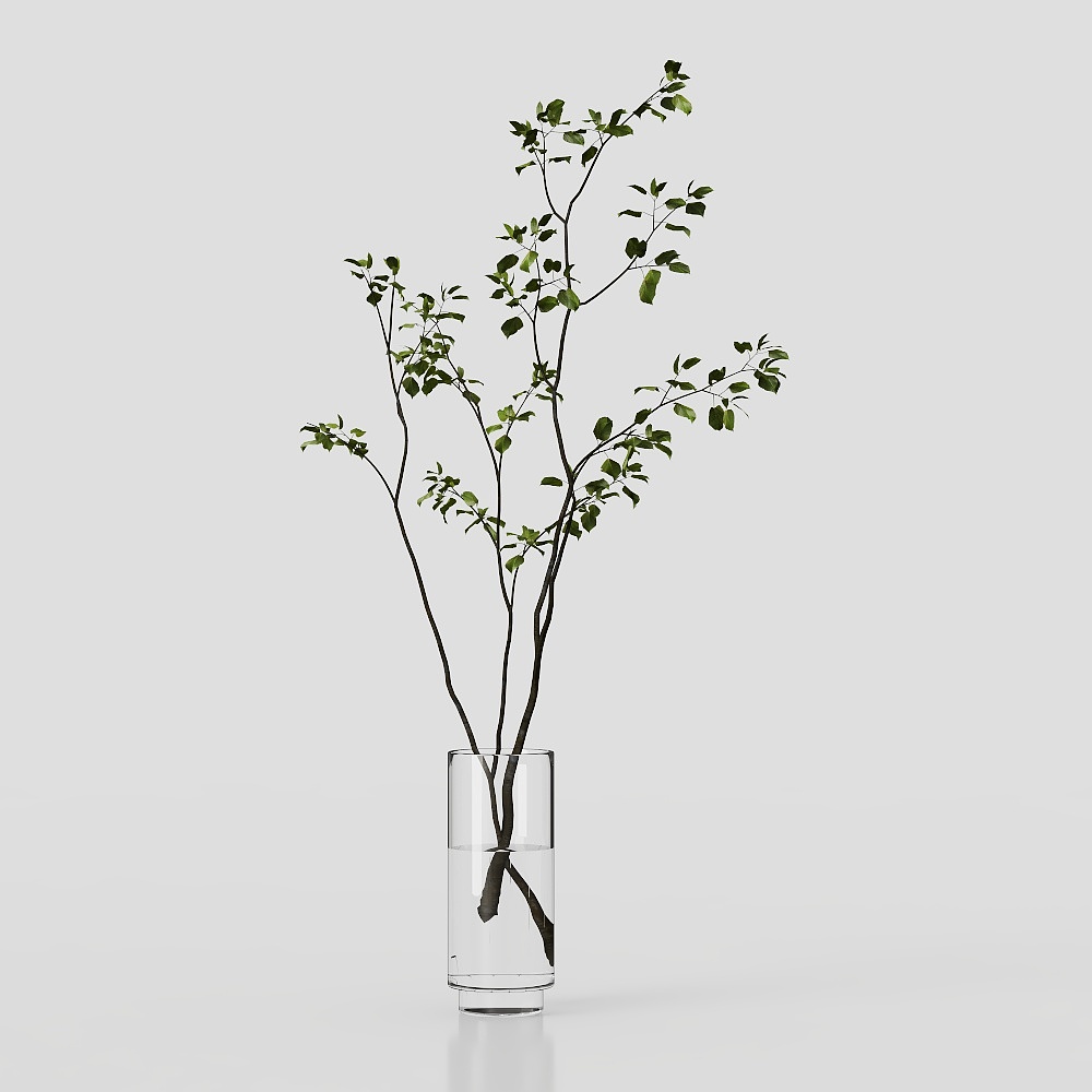 Simple living room vase green plant