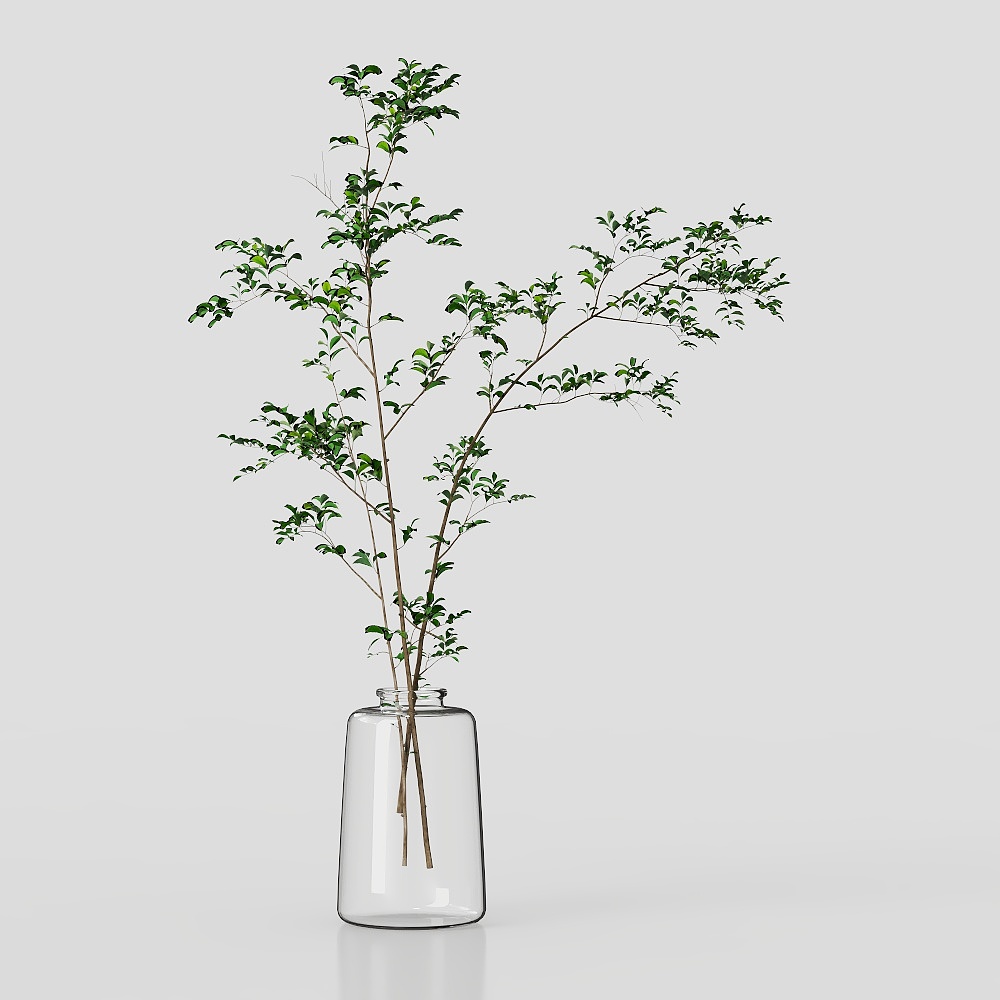 Simple living room vase green plant