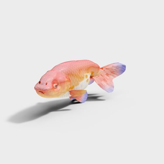 Colorful Goldfish Low Polygon 3D model